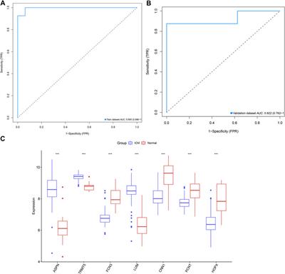 Integrated Strategies of Diverse Feature Selection Methods Identify Aging-Based Reliable Gene Signatures for Ischemic Cardiomyopathy